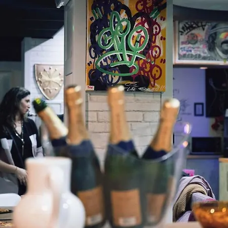 图卢兹中央米迪运河酒店 酒店 圖盧茲