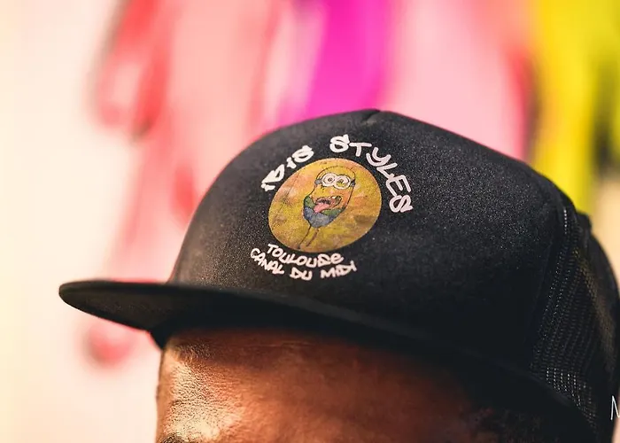 Ibis Styles Centre Canal Du Midi Toulouse