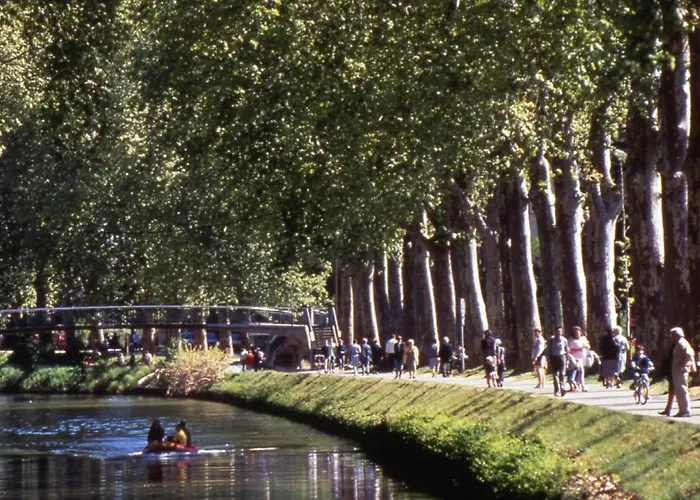 Hotel Ibis Styles Centre Canal Du Midi Toulouse